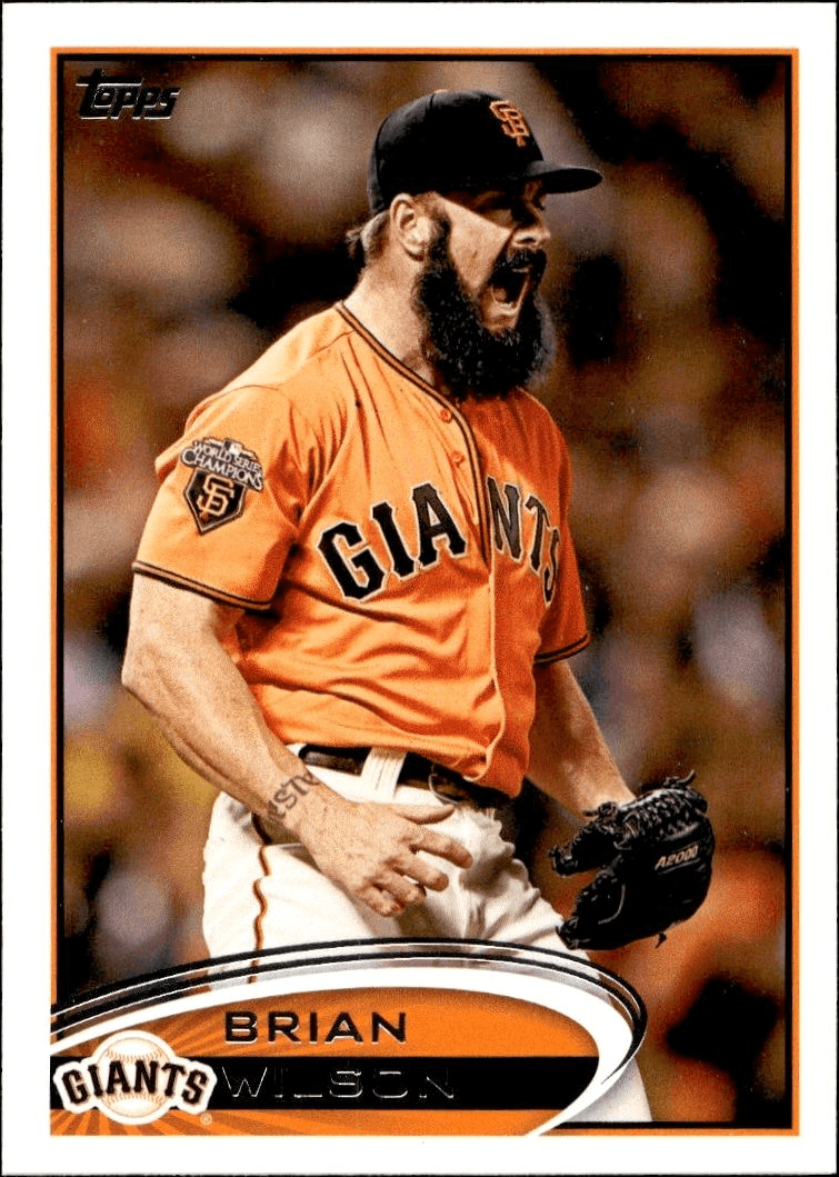 Brian Wilson Brian Wilson - Image 1