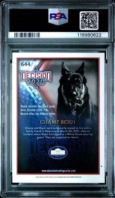 Champ Biden - Back
