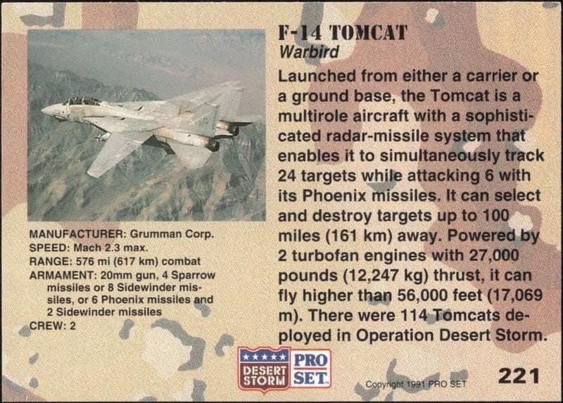 F-14 Tomcat - Back