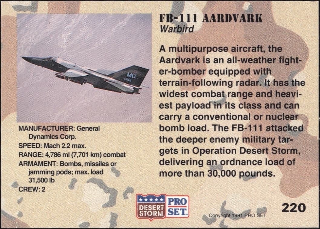 FB-111 Aardvark - Back
