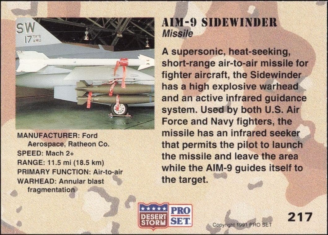 AIM-9 Sidewinder - Back