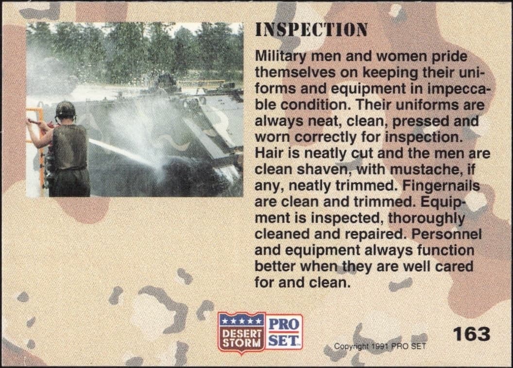 Inspection - Back