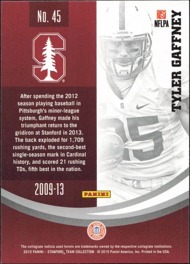 Tyler Gaffney - Back