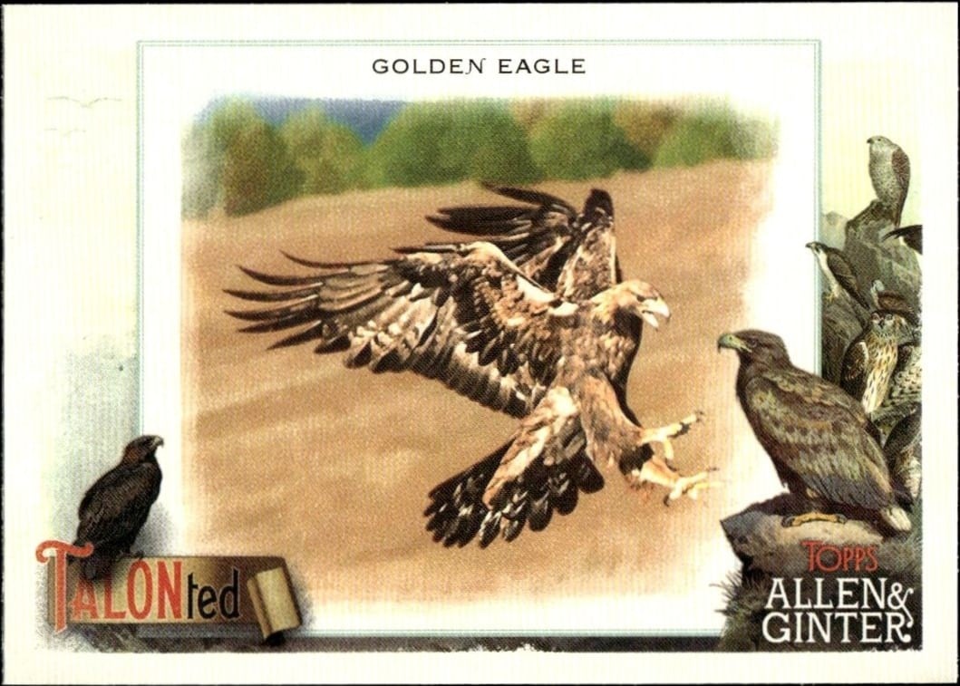 2023 Topps Allen & Ginter Golden Eagle #TT-9 trading card