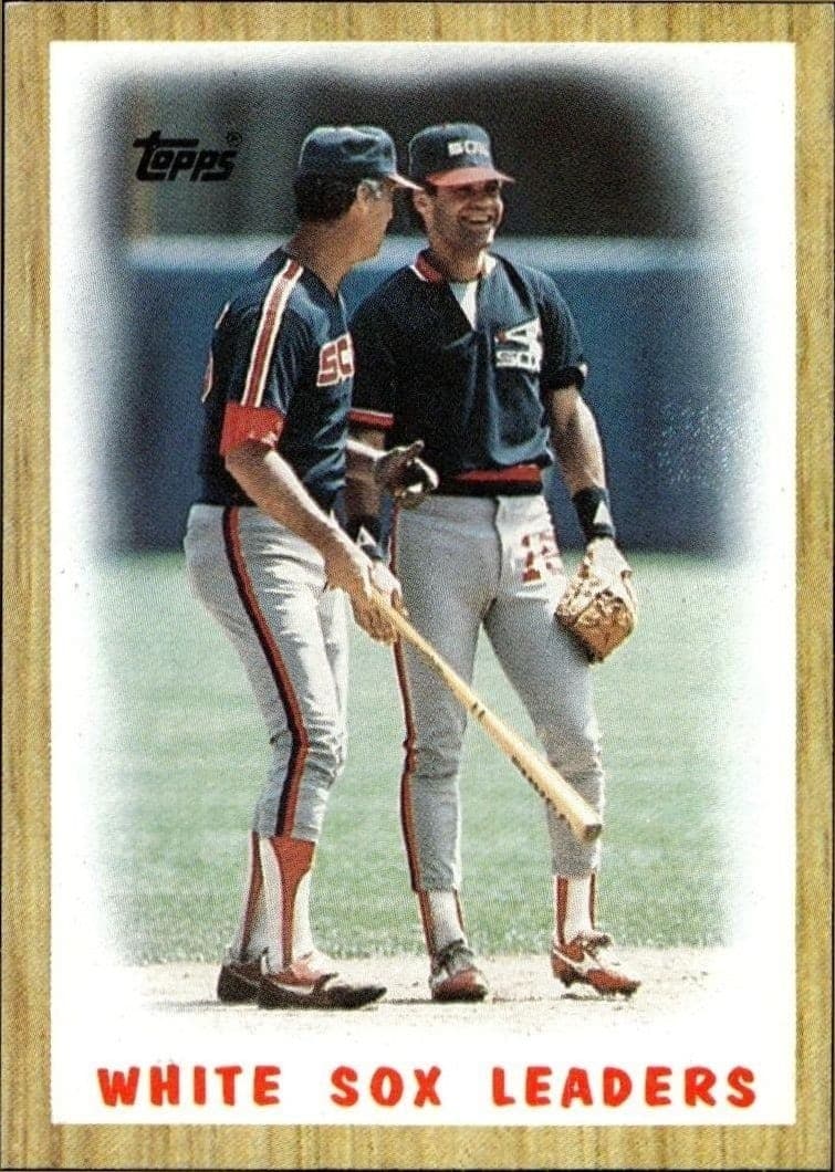 1987 Topps Chicago White Sox #356 trading card