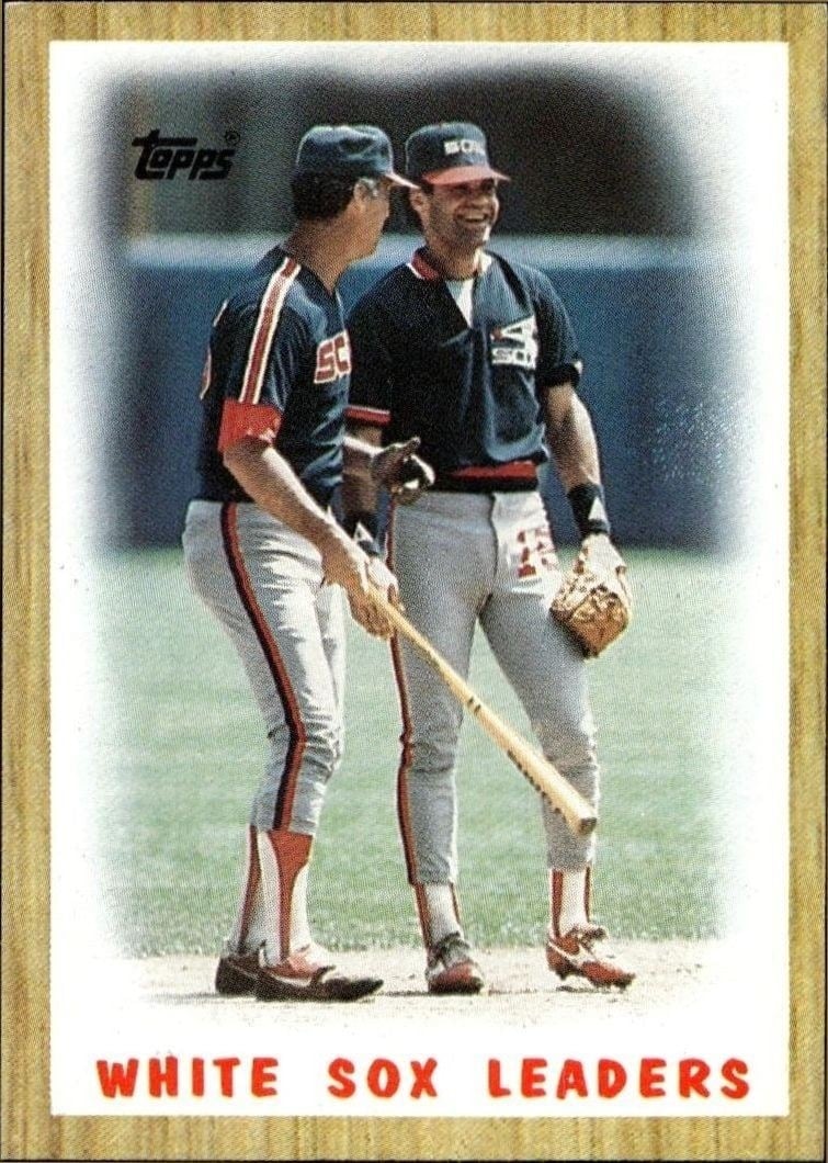 1987 Topps Chicago White Sox #356 trading card