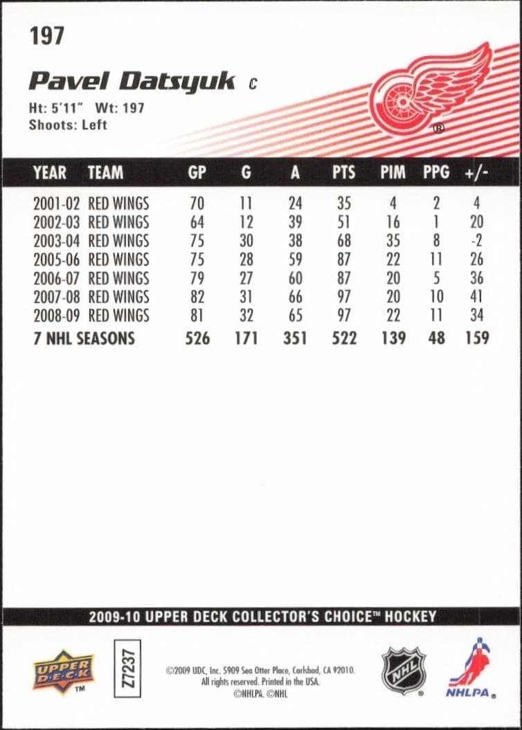 Pavel Datsyuk - Back