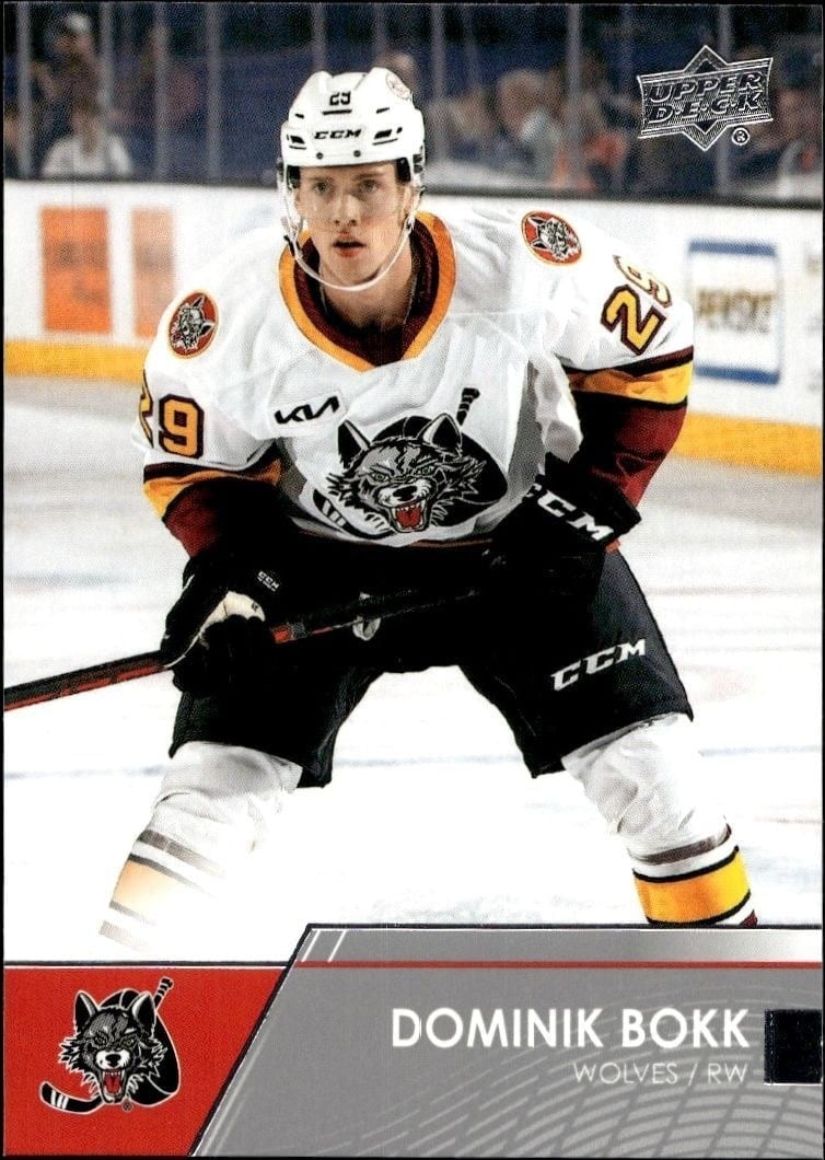 Dominik Bokk 2021-22 Upper Deck AHL #67 Hockey Trading Card - Front 2021-22 Upper Deck AHL Dominik Bokk #67 hockey trading card front