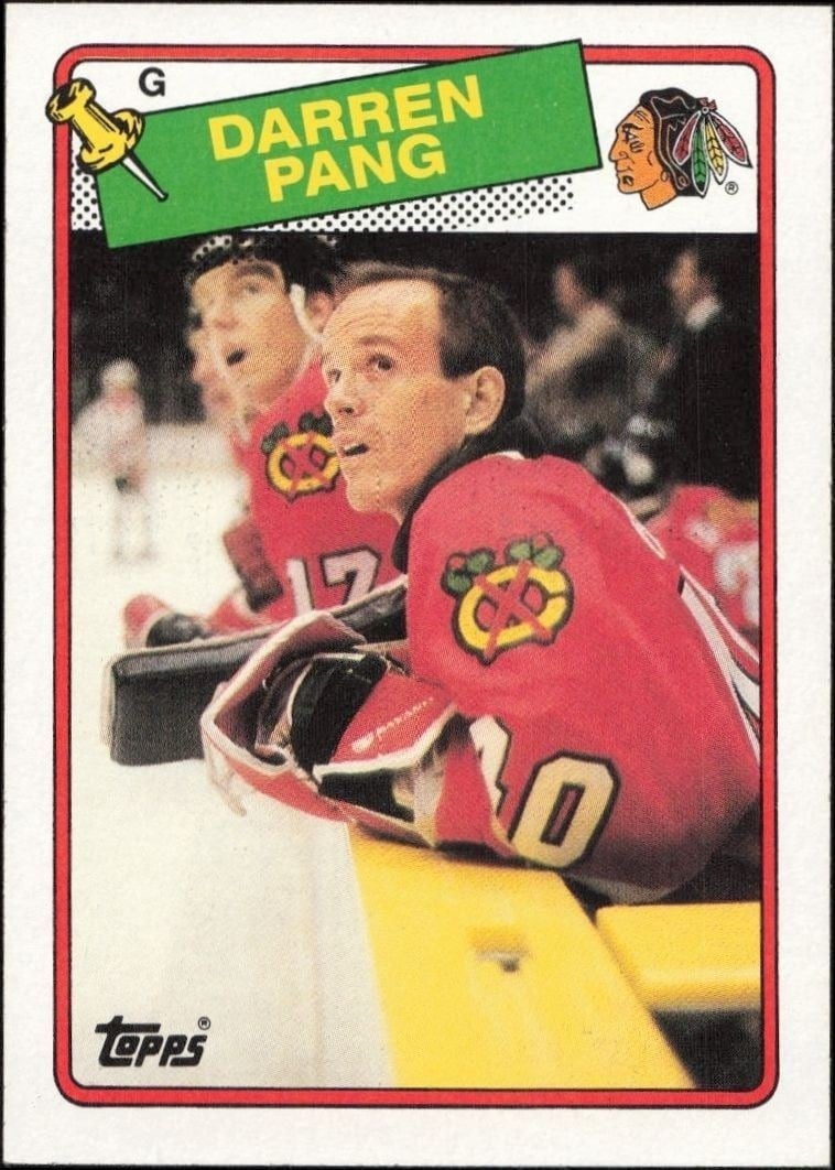 Darren Pang 1988-89 Topps #51 Hockey Trading Card - Front 1988-89 Topps Darren Pang #51 hockey trading card front