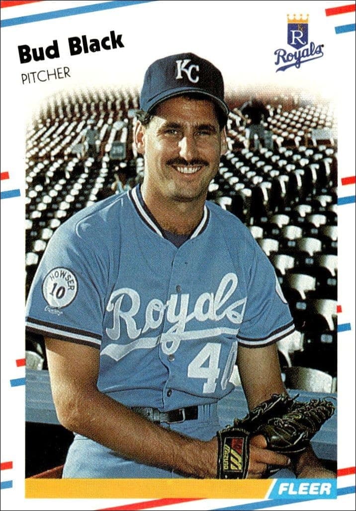 1988 Fleer Bud Black #252 trading card