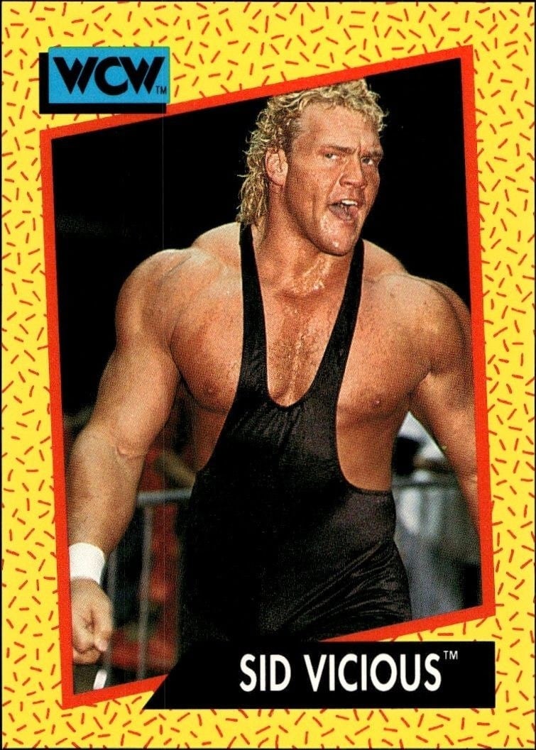 1991 Impel Sid Vicious #24 trading card