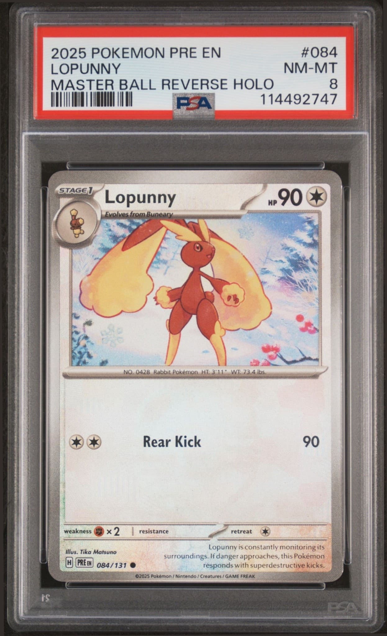 Lopunny - Front