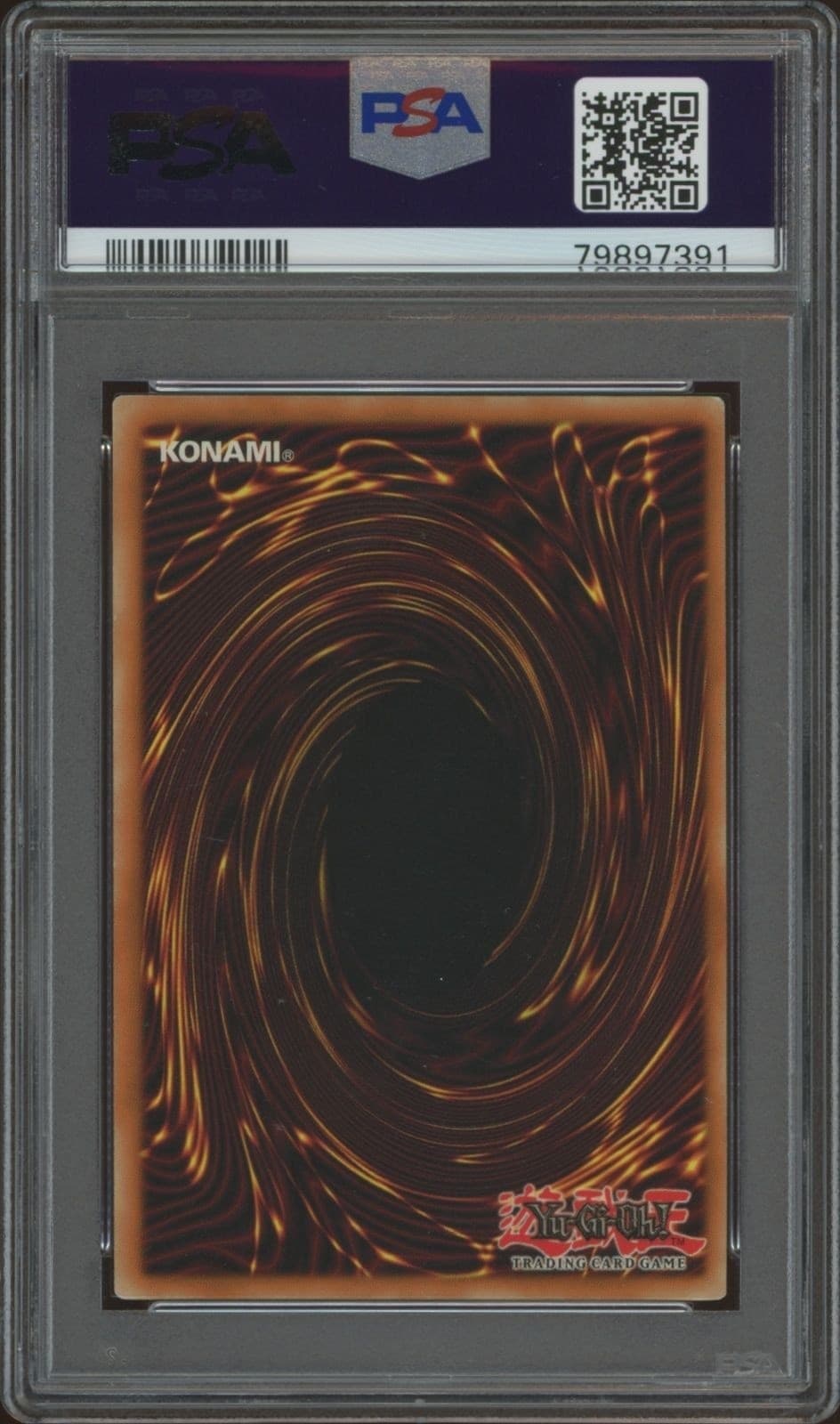 Right Arm Of The Forbidden One - Back