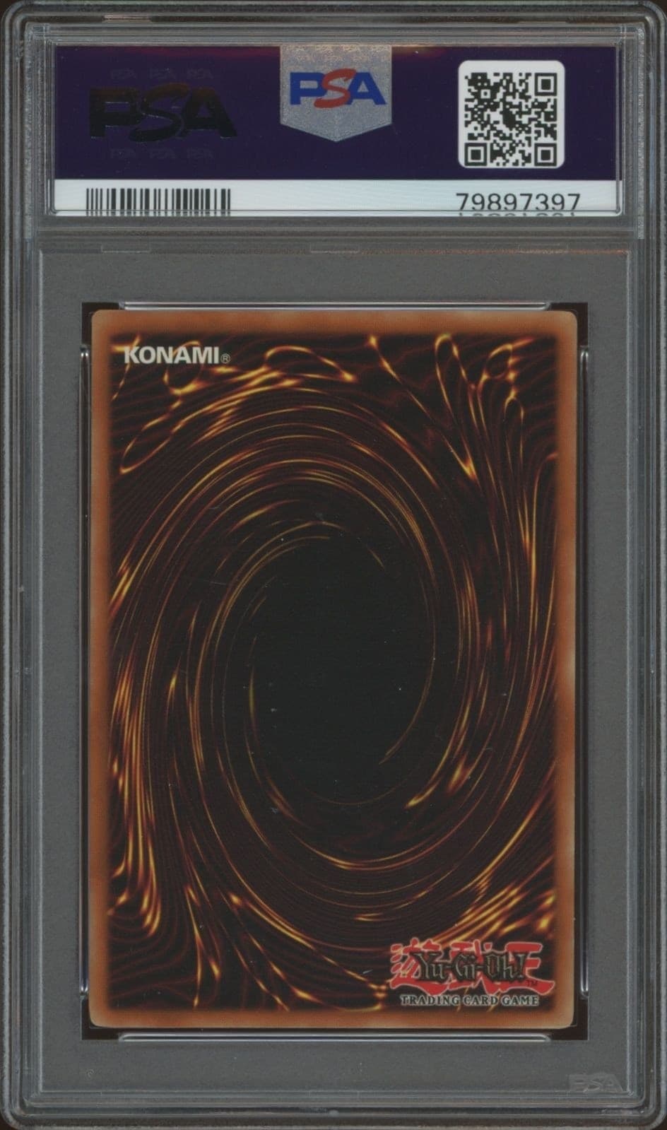 Array Of Revealing Light - Back