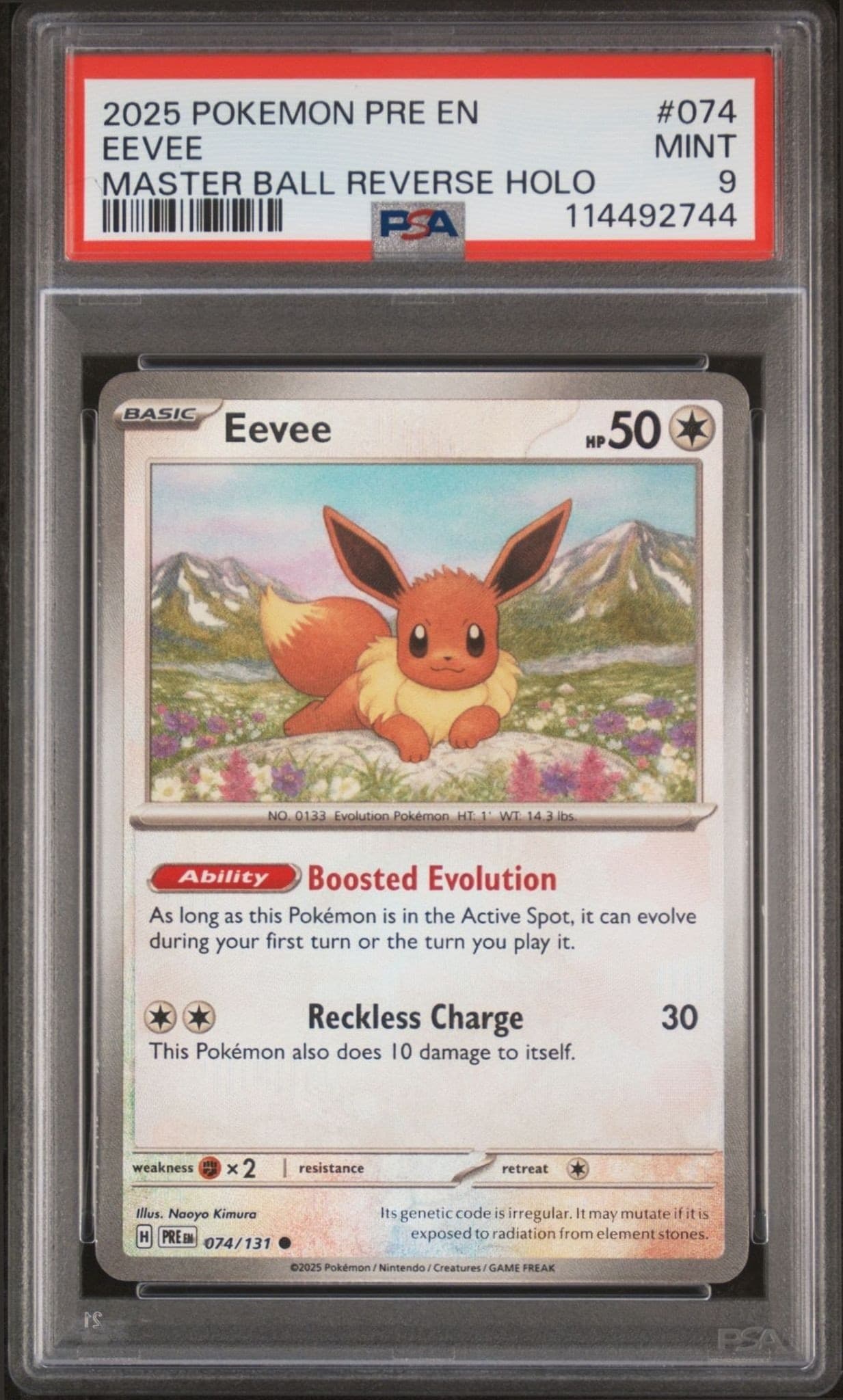 Eevee - Front