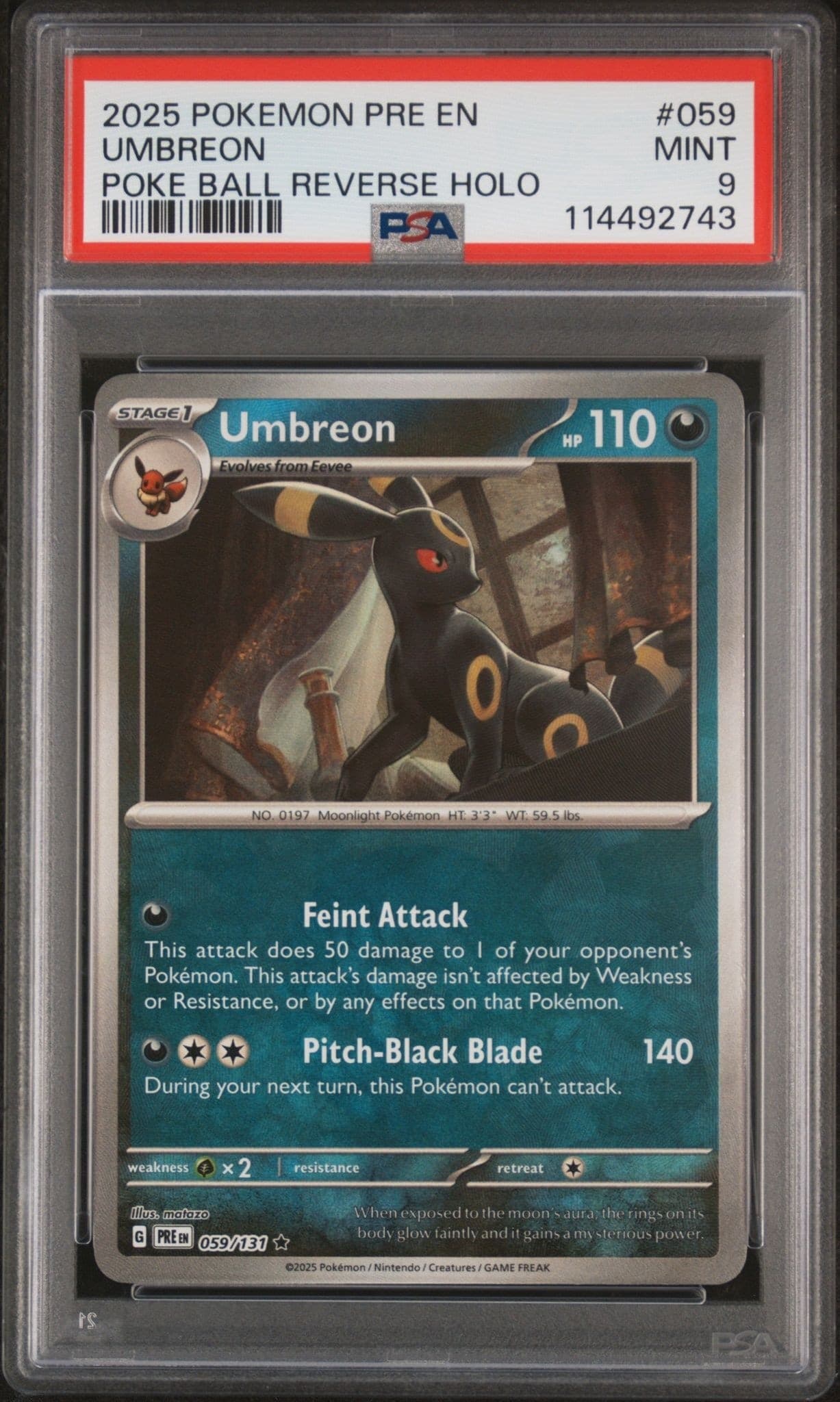 Umbreon - Front