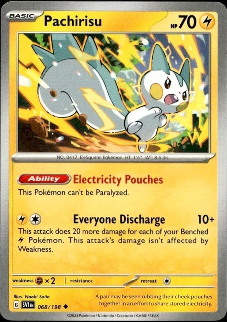 Pachirisu - Front
