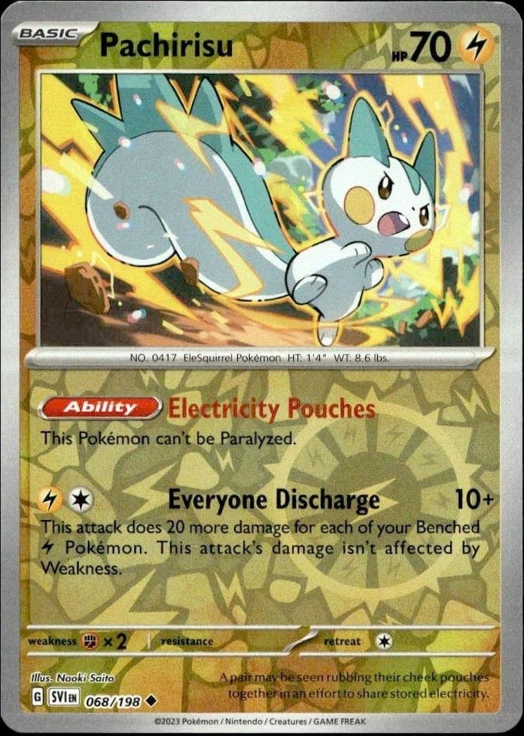 Pachirisu - Front