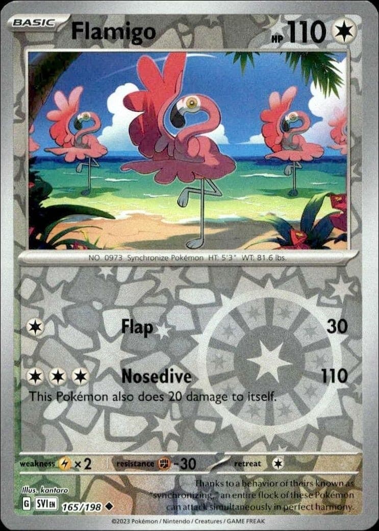 Flamigo - Front