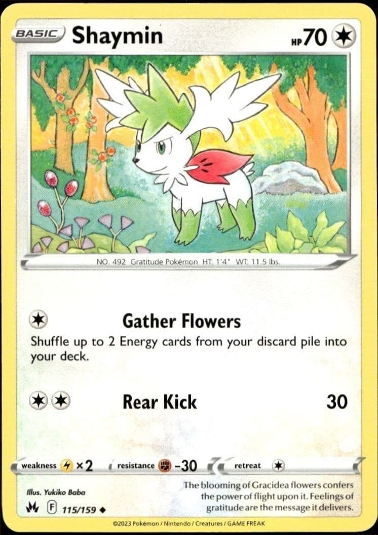 Shaymin - Front