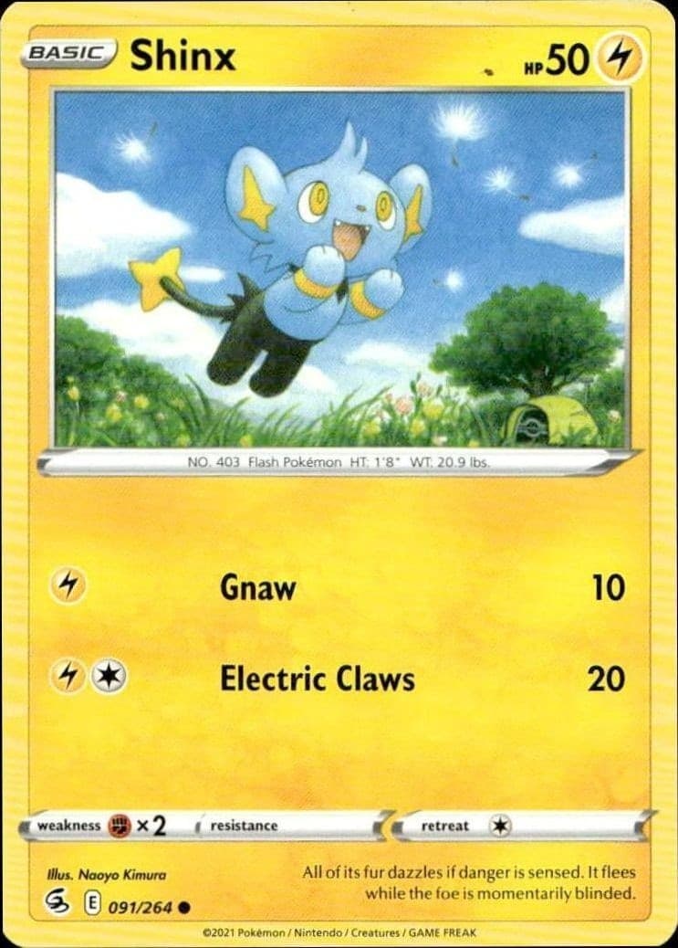 Shinx - Front