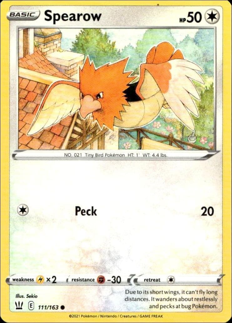 Spearow - Front
