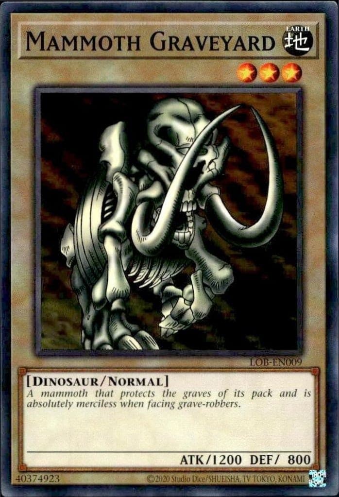 Mammoth Graveyard - Front