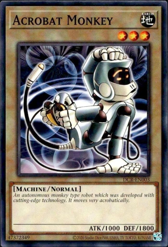 Acrobat Monkey - Front
