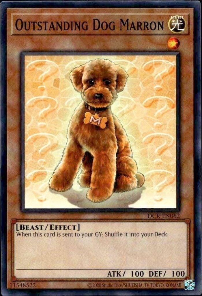 Outstanding Dog Marron 2023 Yu-Gi-Oh! Dark Crisis #DCR-EN062 Yu-Gi-Oh! Card - Front 2023 Yu-Gi-Oh! Dark Crisis Outstanding Dog Marron #DCR-EN062 Yu-Gi-Oh! card front