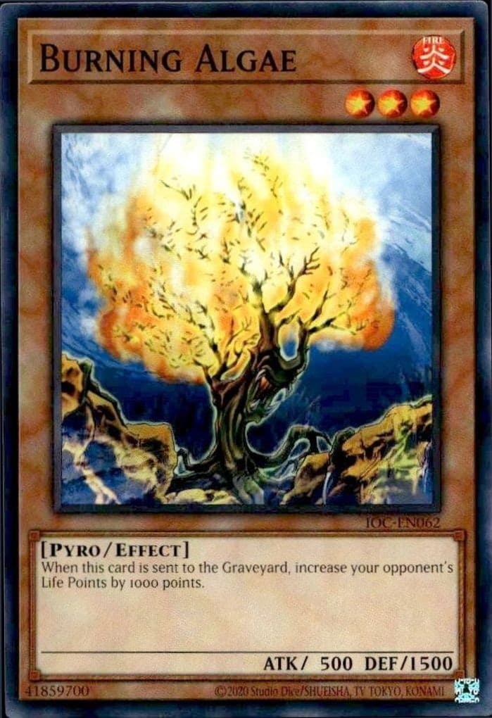 Burning Algae - Front