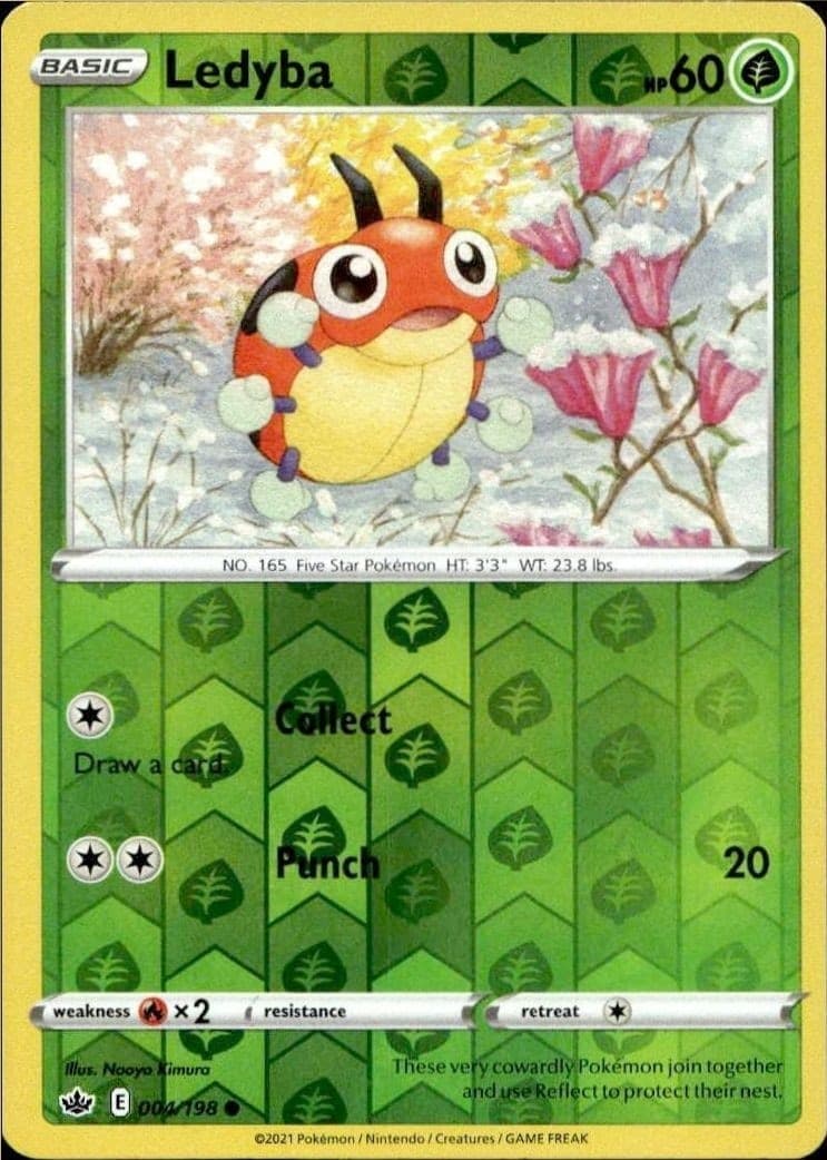 Ledyba - Front