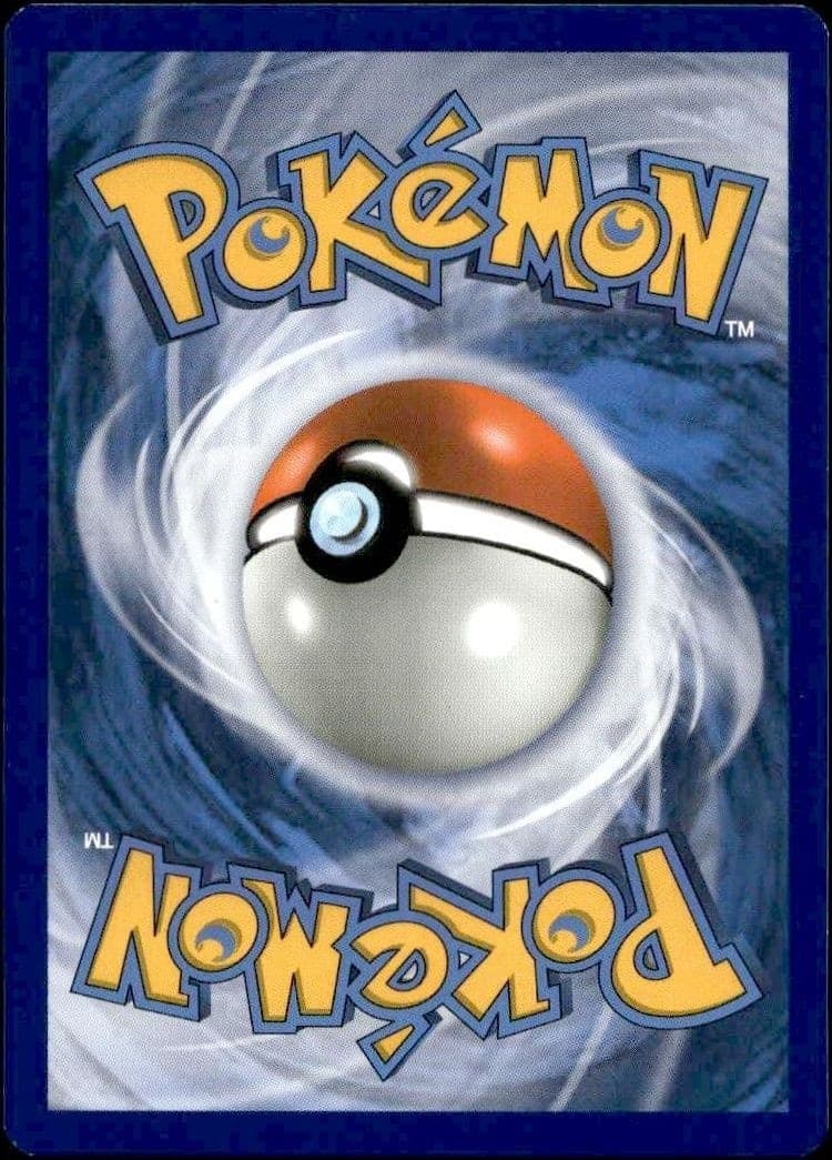 Pikipek - Back