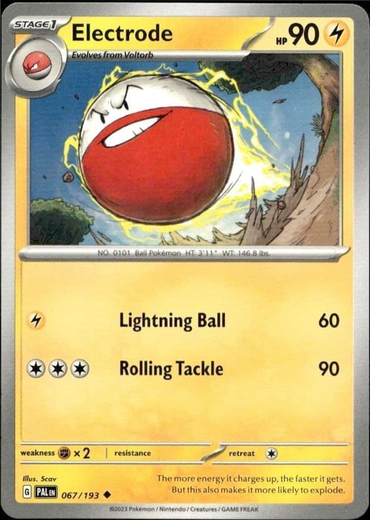 Electrode - Front