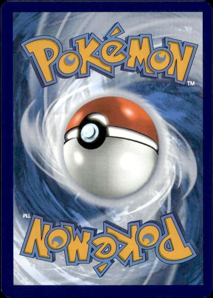 Metang - Back