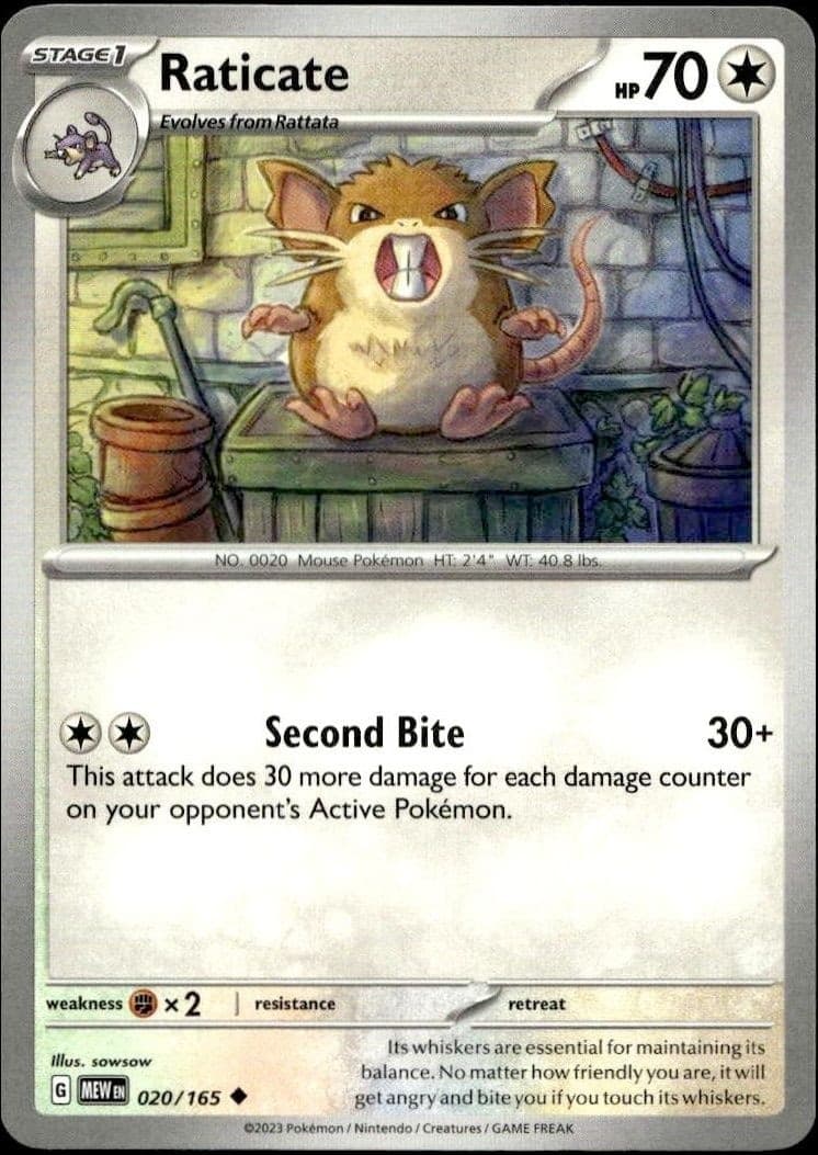 Raticate - Front