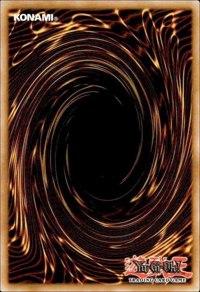 Light of Intervention - Back