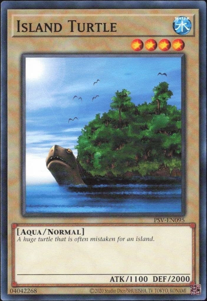 Island Turtle - Front