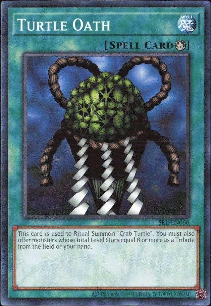 Turtle Oath - Front