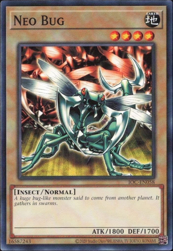 Neo Bug - Front