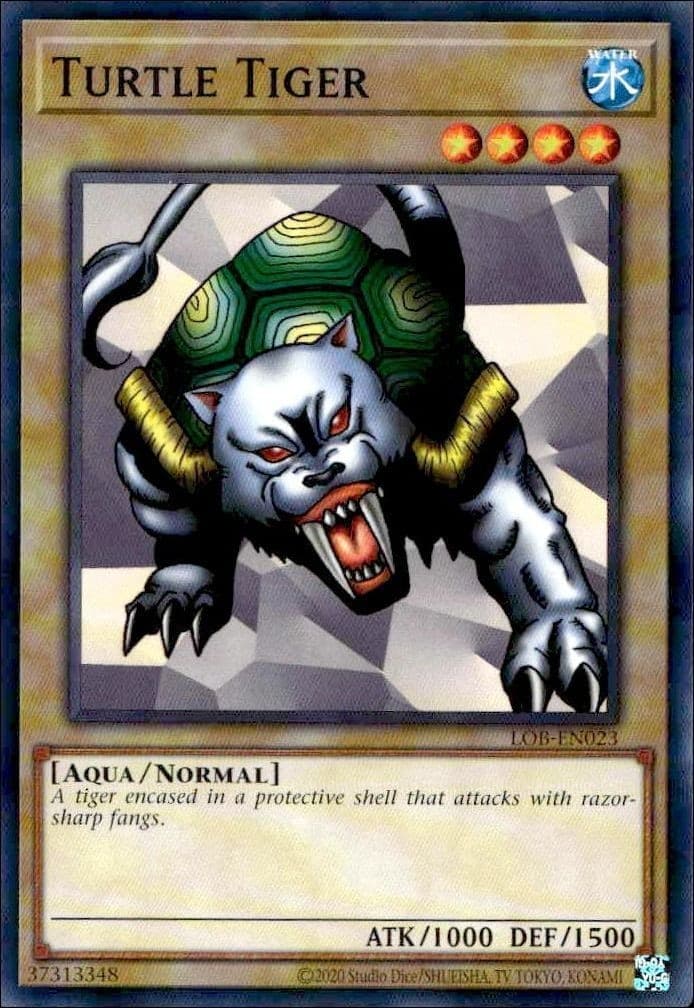 Turtle Tiger - Front