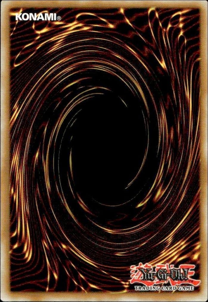 Cu Chulainn the Awakened - Back
