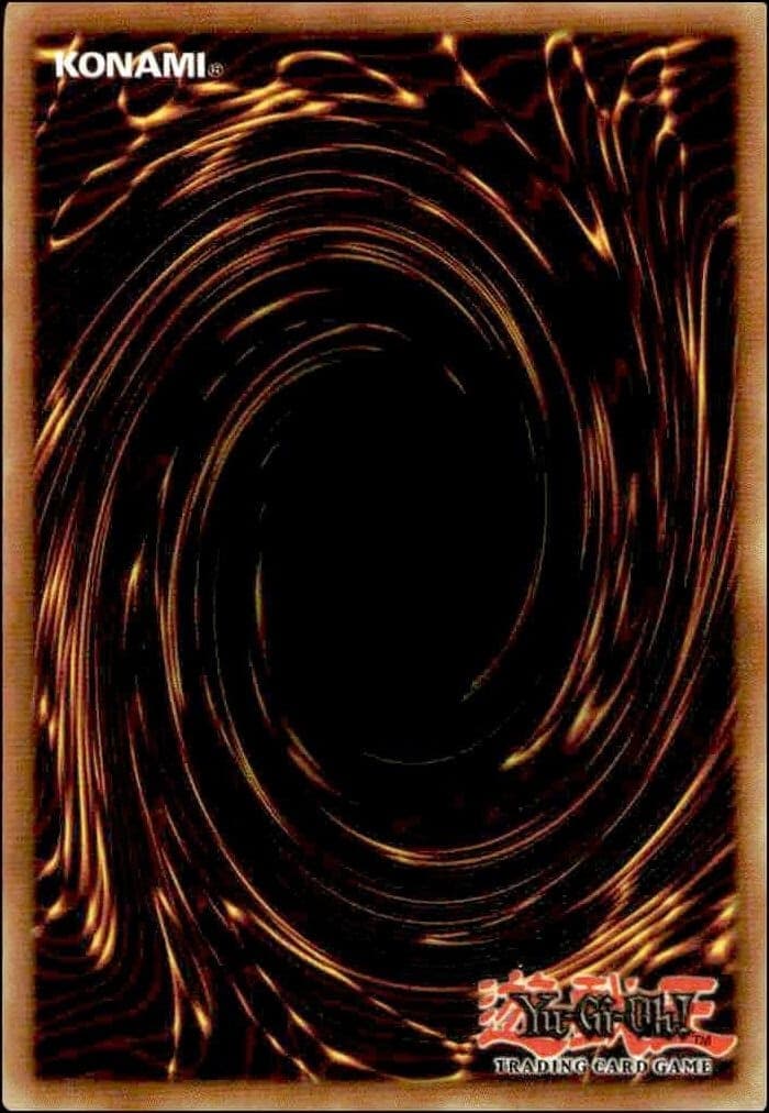 Gust - Back