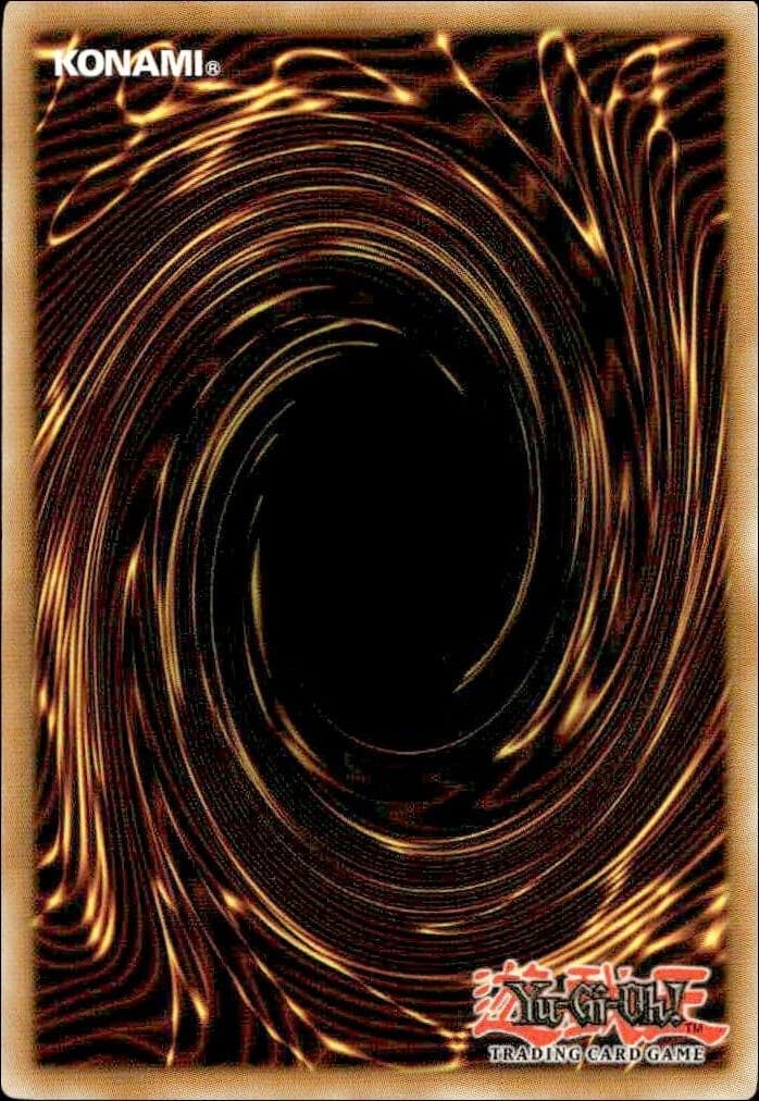 Mystical Wind Typhoon - Back