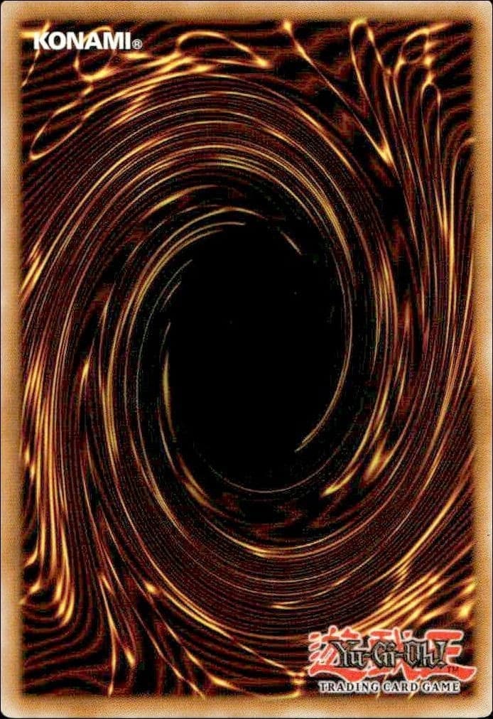 Gozen Match - Back