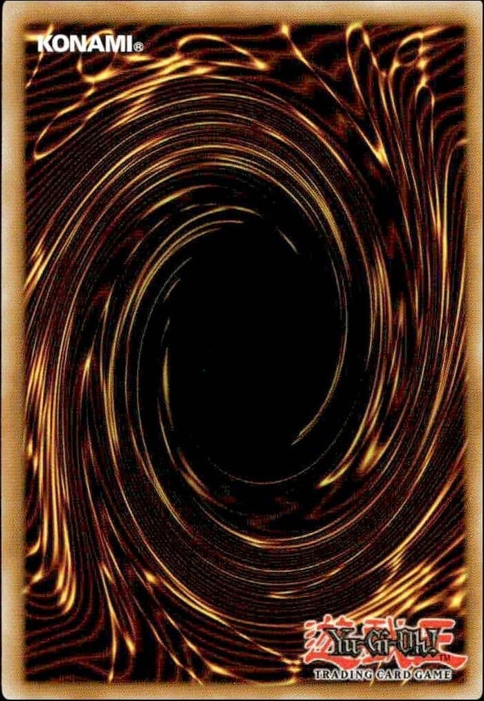 Spell Reproduction - Back