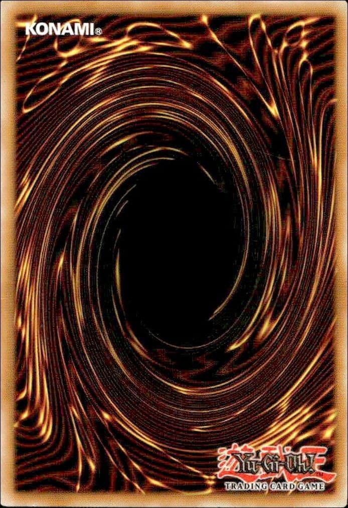 Morphtronic Forcefield - Back