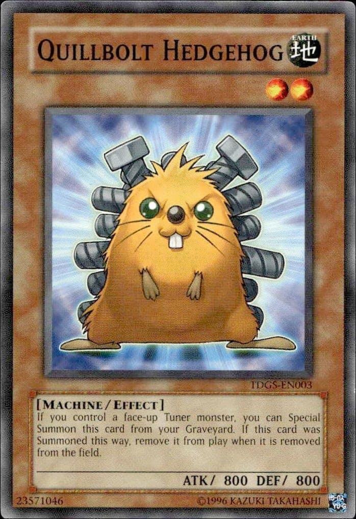 Quillbolt Hedgehog - Front
