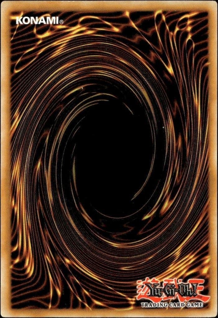 Dimensional Prison - Back