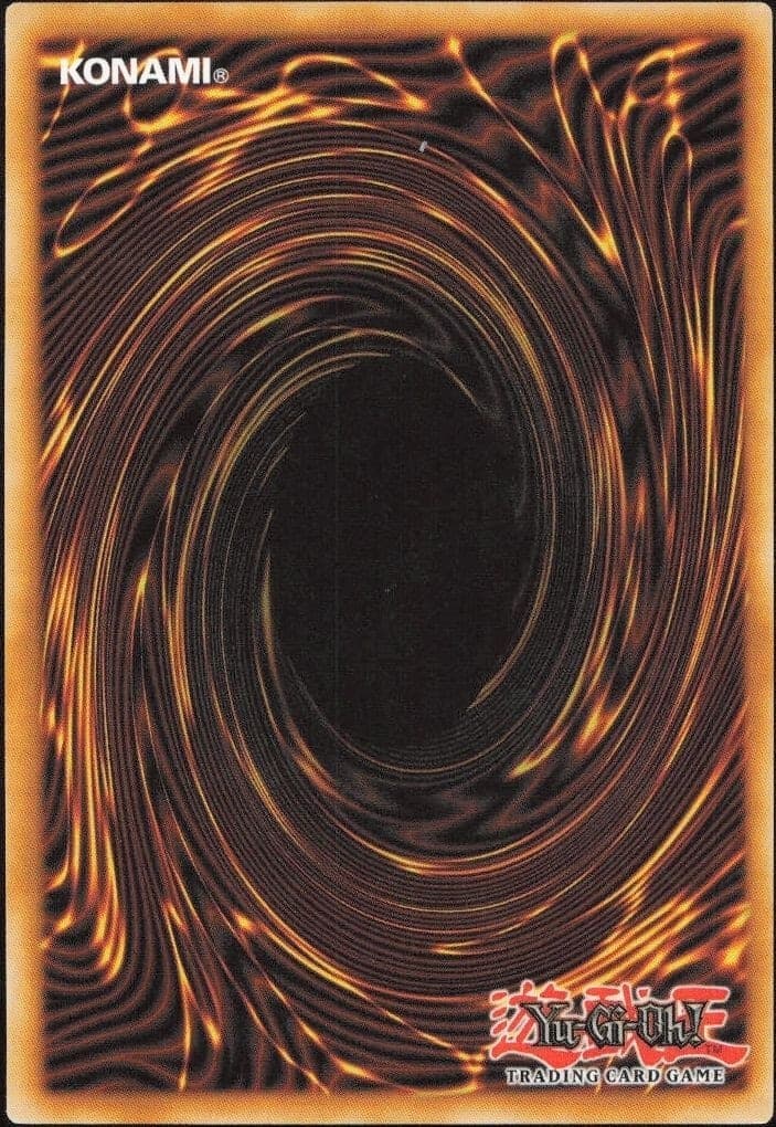 Double Hooking - Back