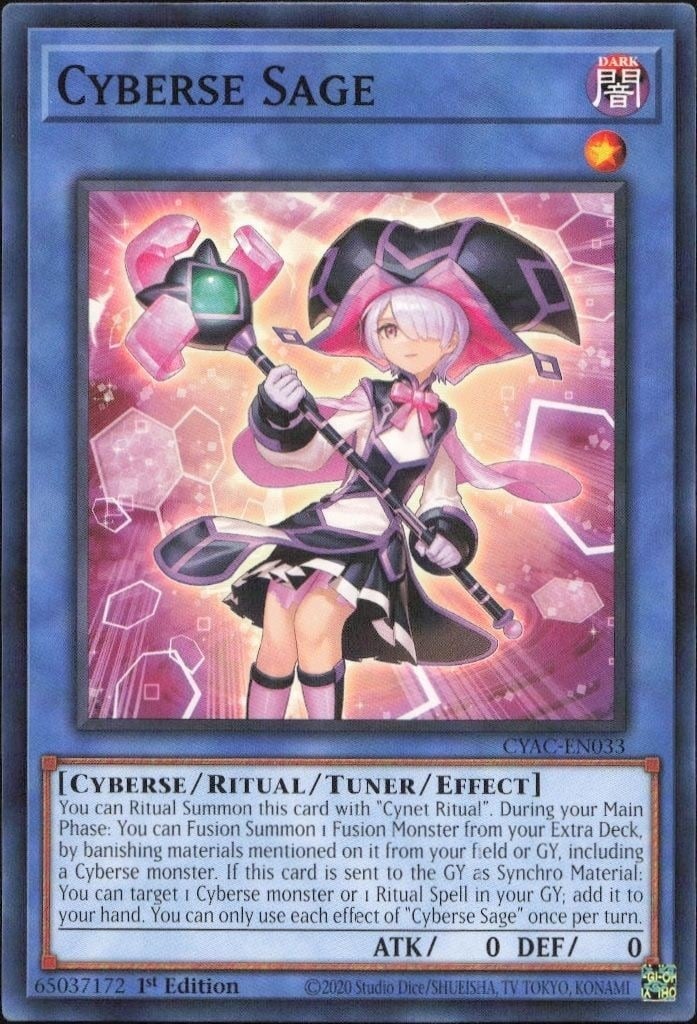Cyberse Sage 2020 Yu-Gi-Oh! Cyberstorm Access #CYAC-EN033 Yu-Gi-Oh! Card - Front 2020 Yu-Gi-Oh! Cyberstorm Access Cyberse Sage #CYAC-EN033 Yu-Gi-Oh! card front